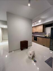 Shiro (D15), Apartment #517518151